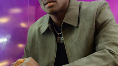 الفنان: أدفايز